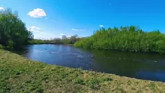 Afspelen Openbare seks in het park buiten - cumshot bukkake-compilatie